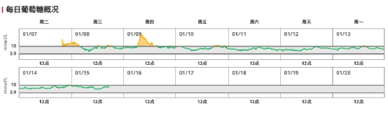 图3 每日血糖概况