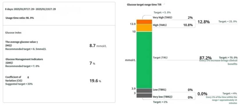 Figure 1. Glucose Overview Chart